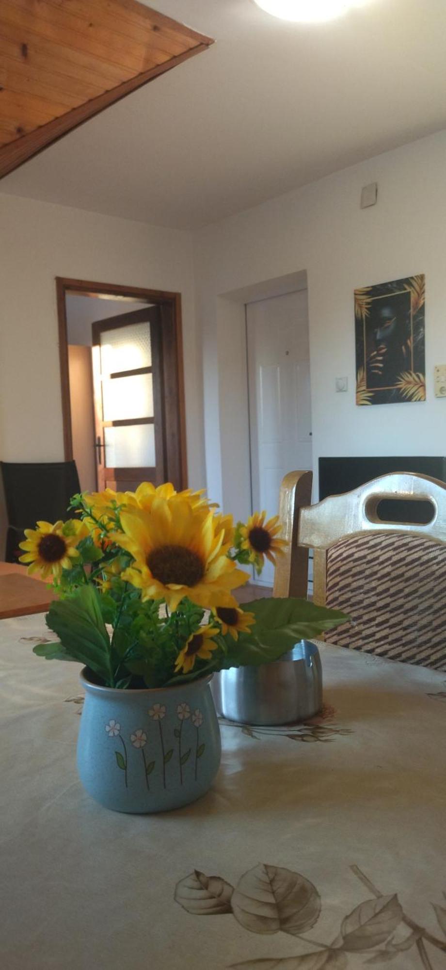 Vila Lenka Sokobanja Quarto foto