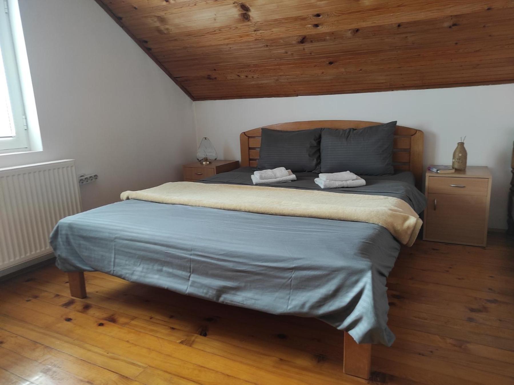 Vila Lenka Sokobanja Quarto foto